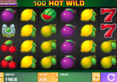 100 Hot Wild